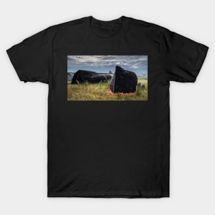 Lindisfarne's Boat Sheds T-Shirt